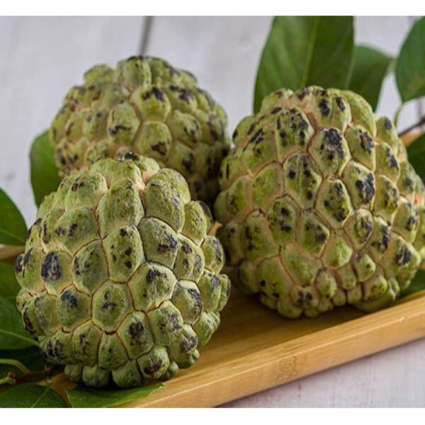 Custard Apple