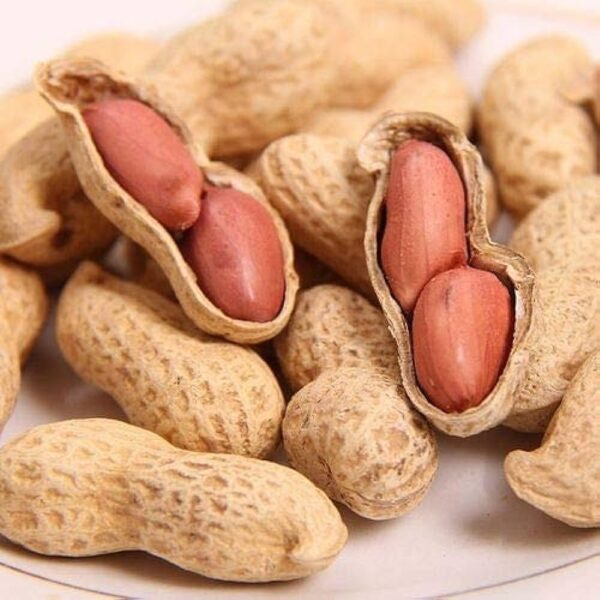 Groundnuts